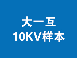 大一互10KV样本
