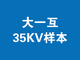 大一互35KV样本